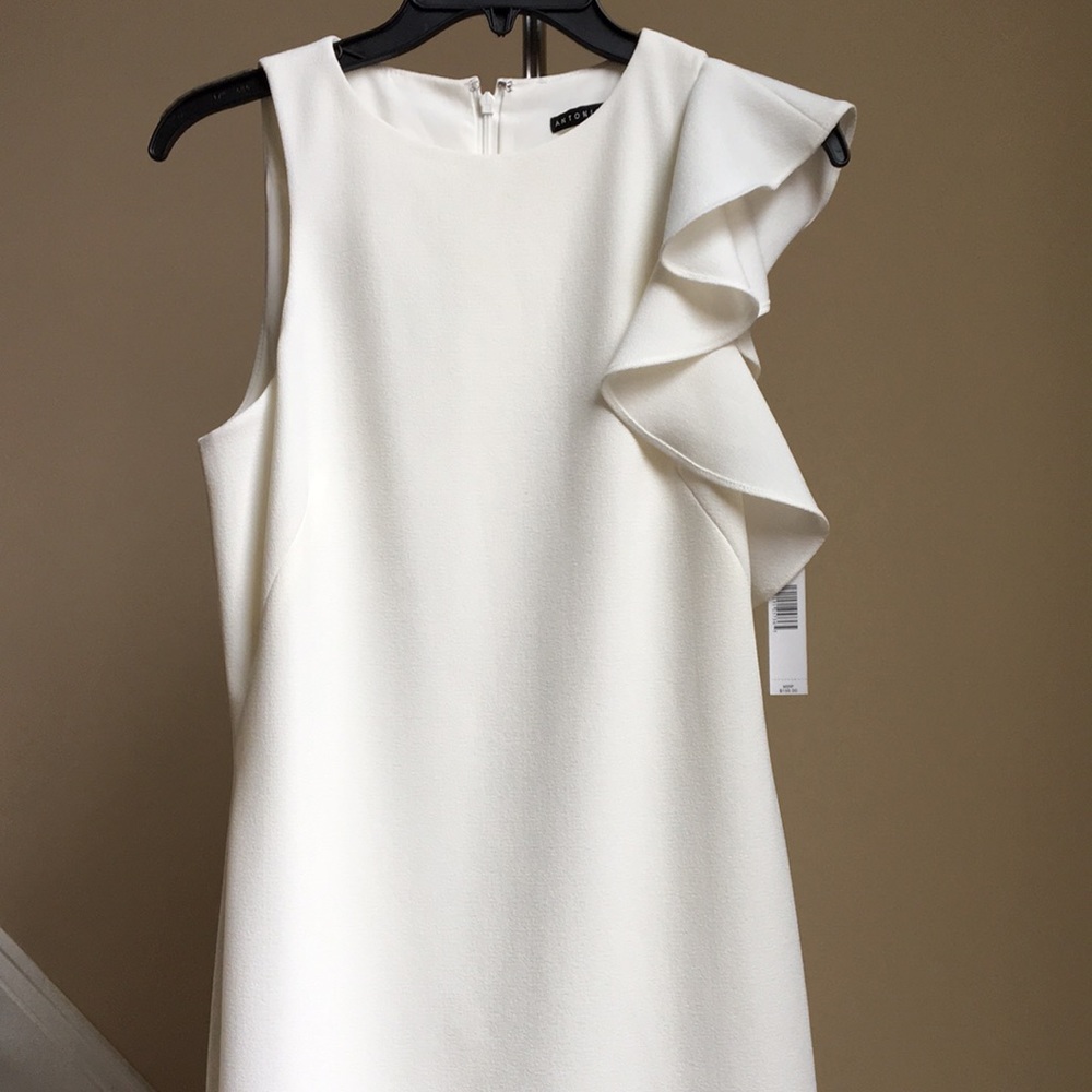 ✨ Antonio Melani Ruffle Dress - Picture 3 of 7